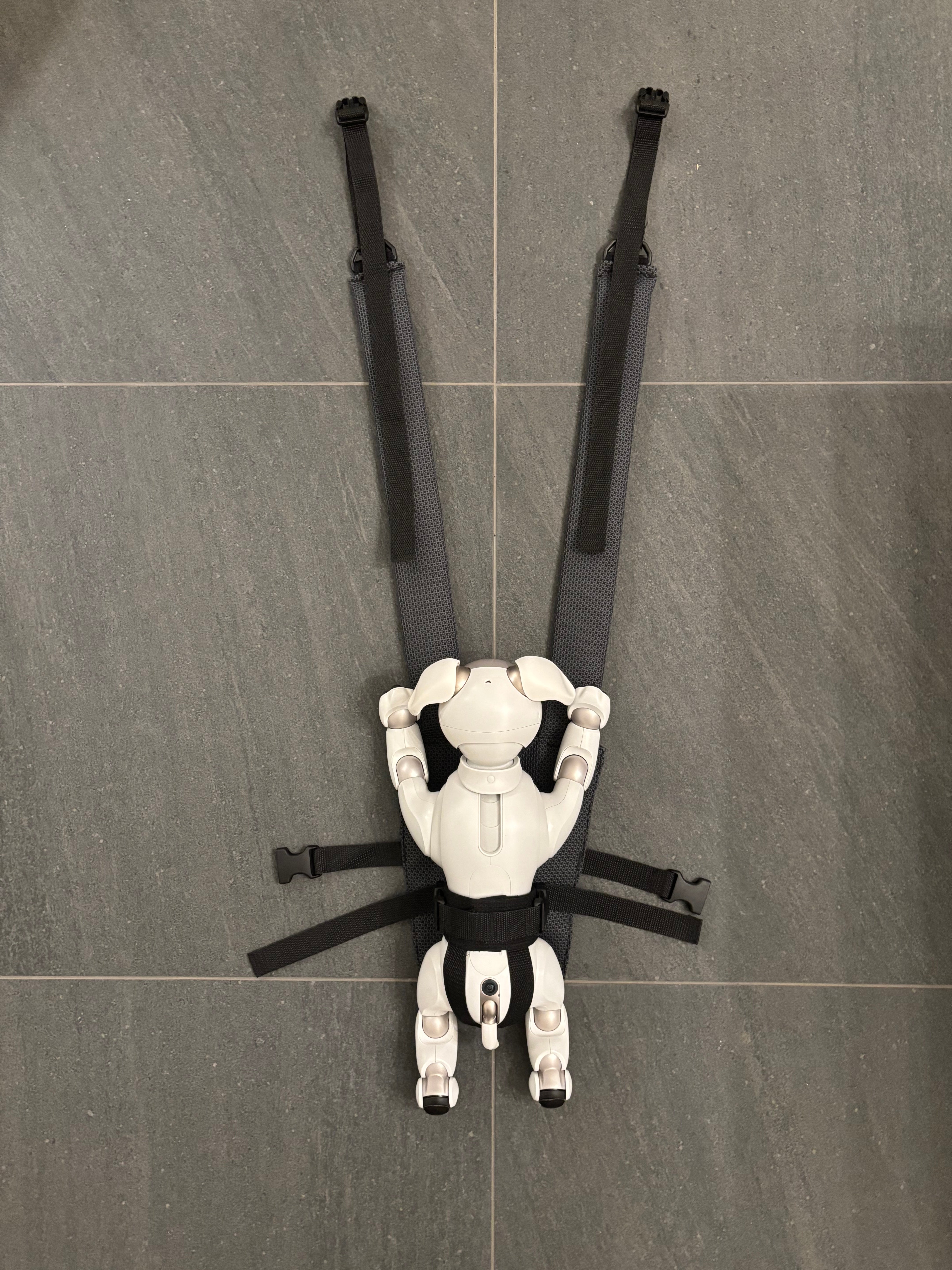 IMG_2245.jpg?v=1732850911