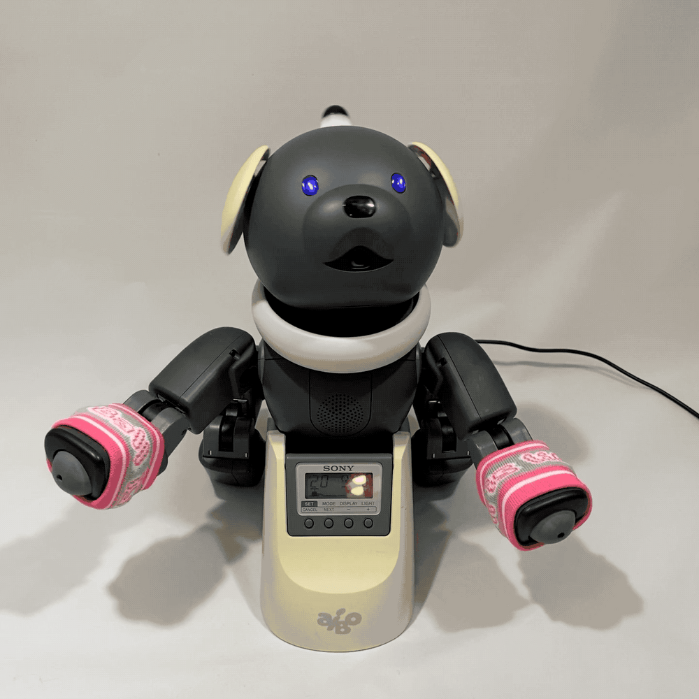 aibo & アクセサリー Aibo Accessories