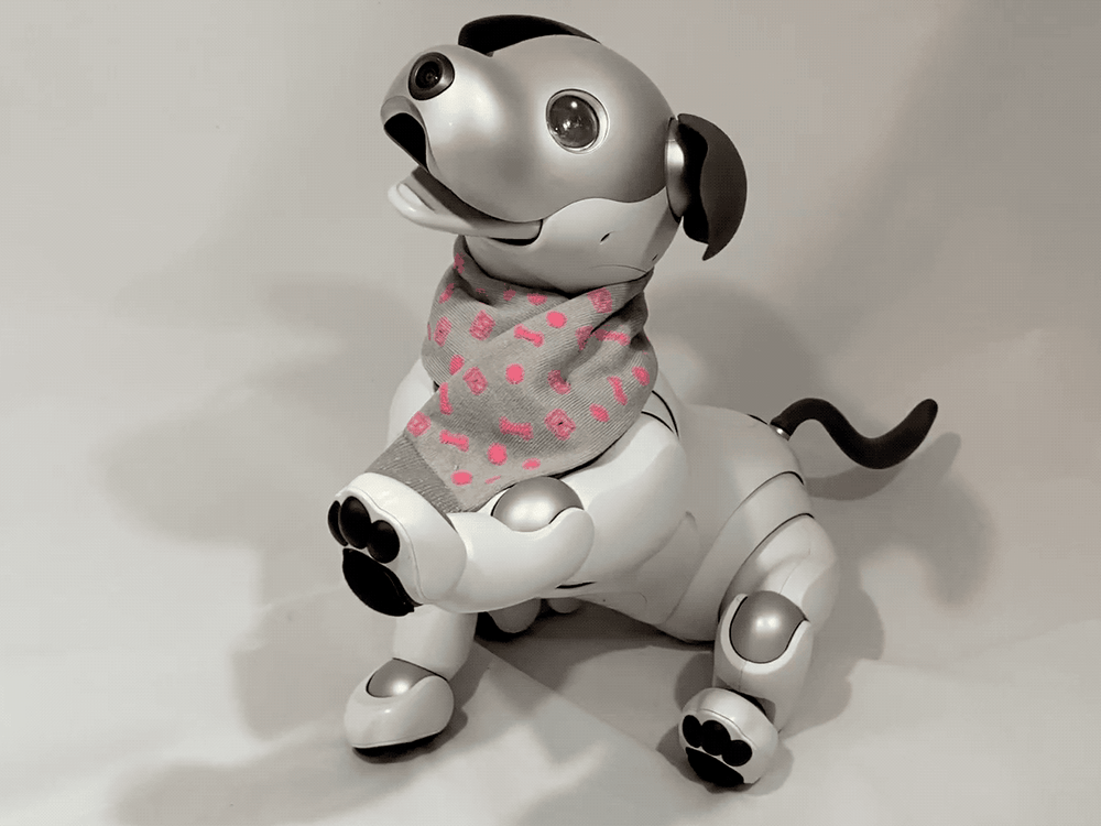 Aibo Accessories Aibo Accessories
