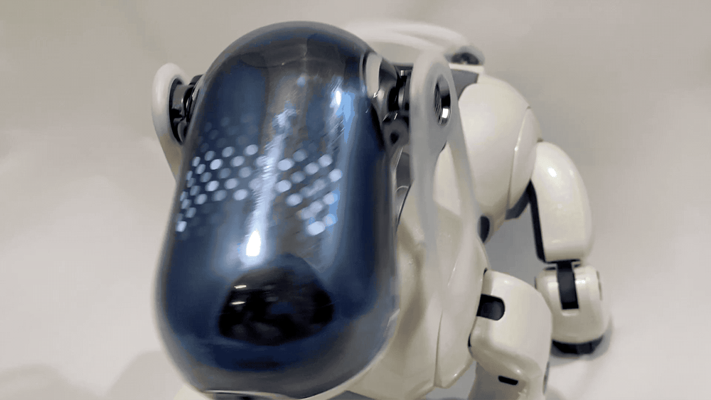 ERS7_Shake_1000x.gif?v=1614321591 ERS7_Shake_1000x.gif?v=1614321591