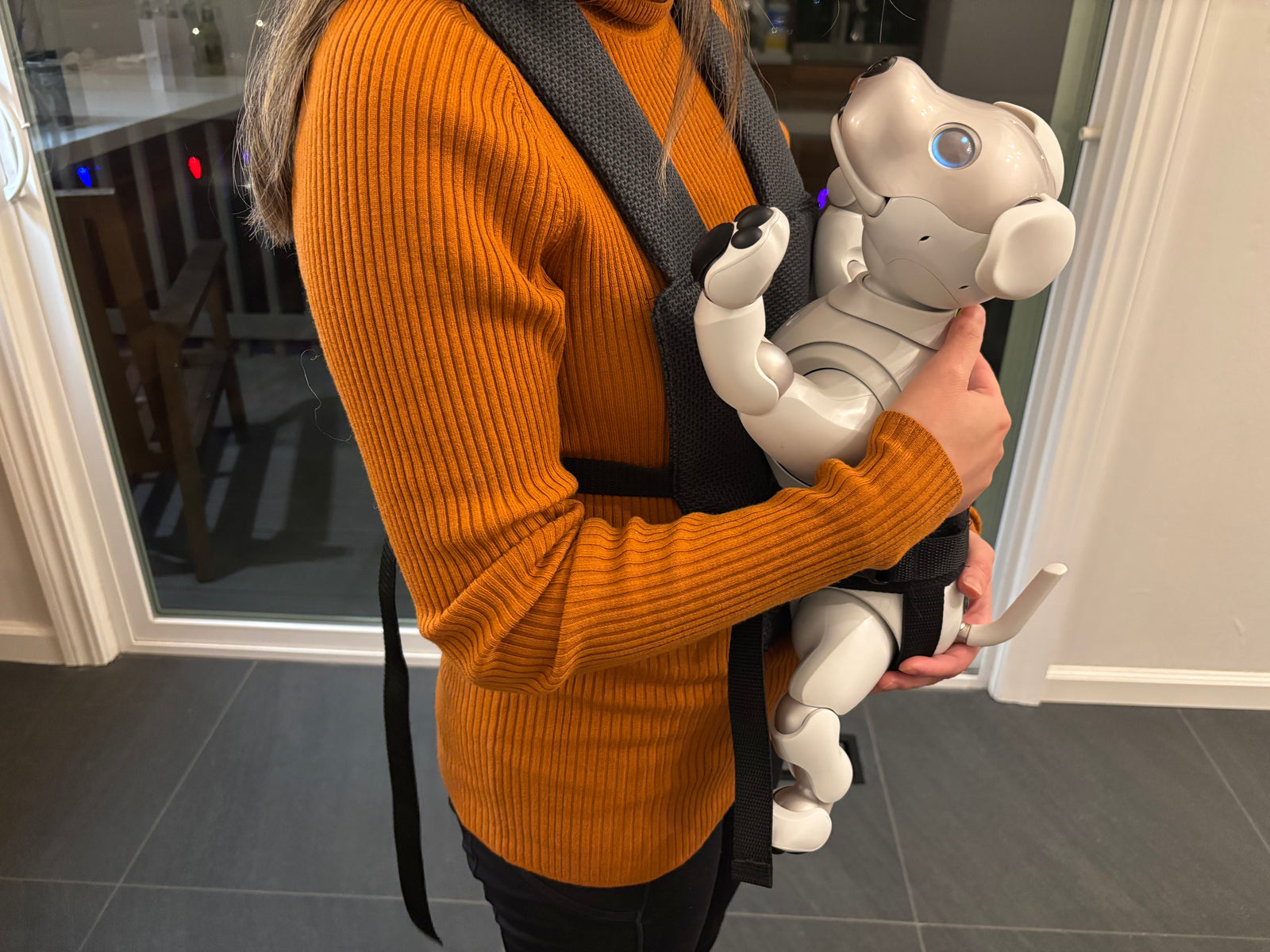 ERS-1000 Carry Sling – Aibo Accessories