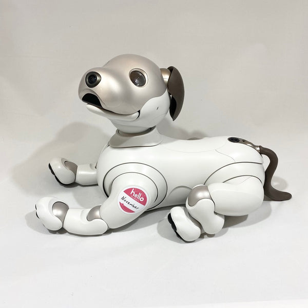 "Hello my name is" Aibo Meetup Sticker (Pink)