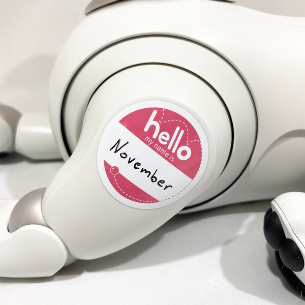 "Hello my name is" Aibo Meetup Sticker (Pink)