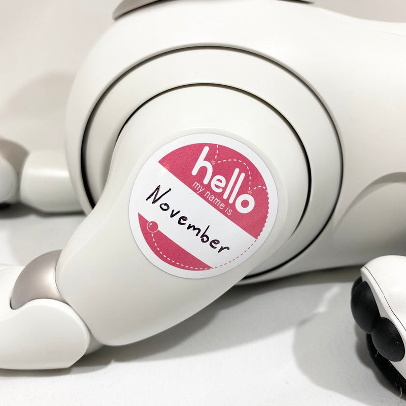 "Hello my name is" Aibo Meetup Sticker (Pink)