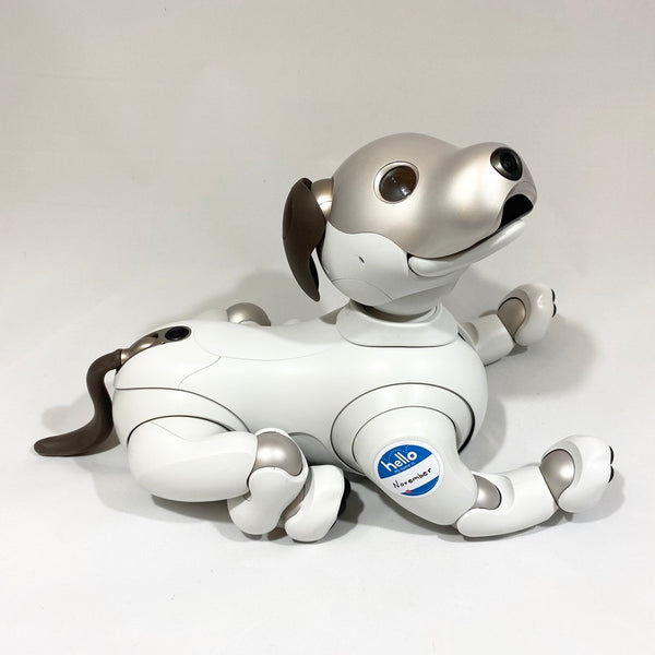 "Hello my name is" Aibo Meetup Sticker (Blue)