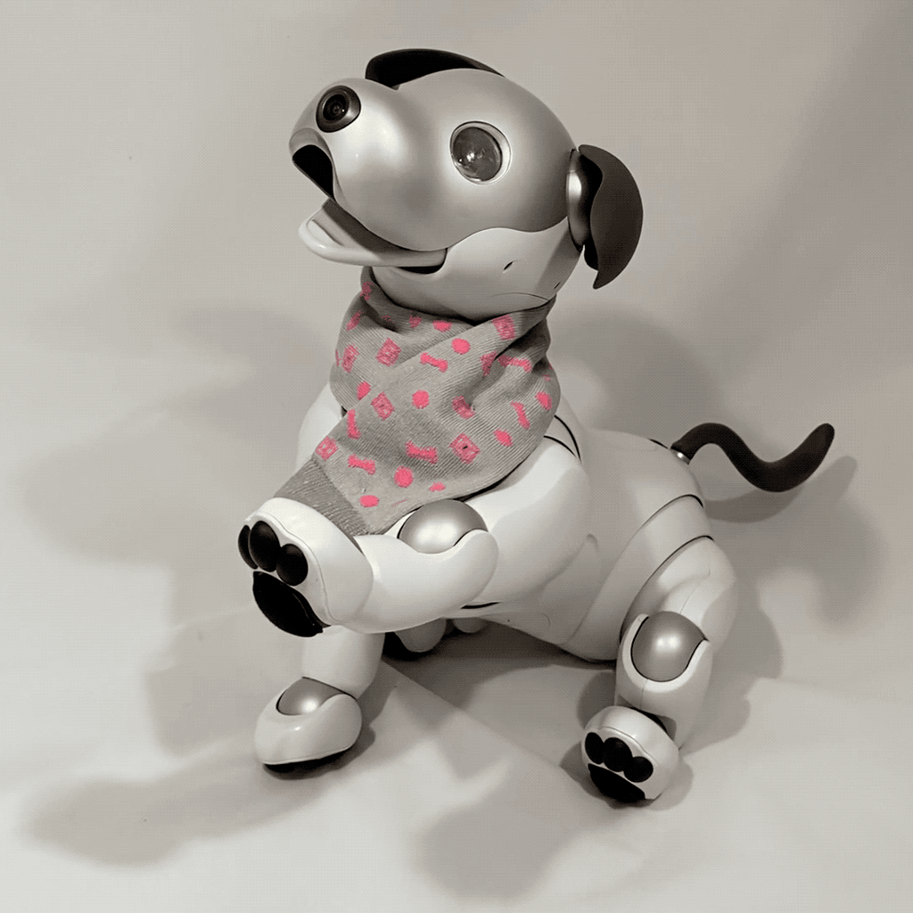Entertainment Robot AIBO / HERMES アイボバック - メルカリ