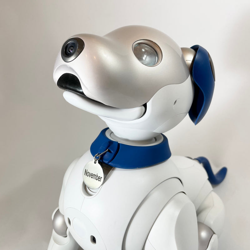 Aibo ERS-1000 Form Fitting Silicone Tag Collar