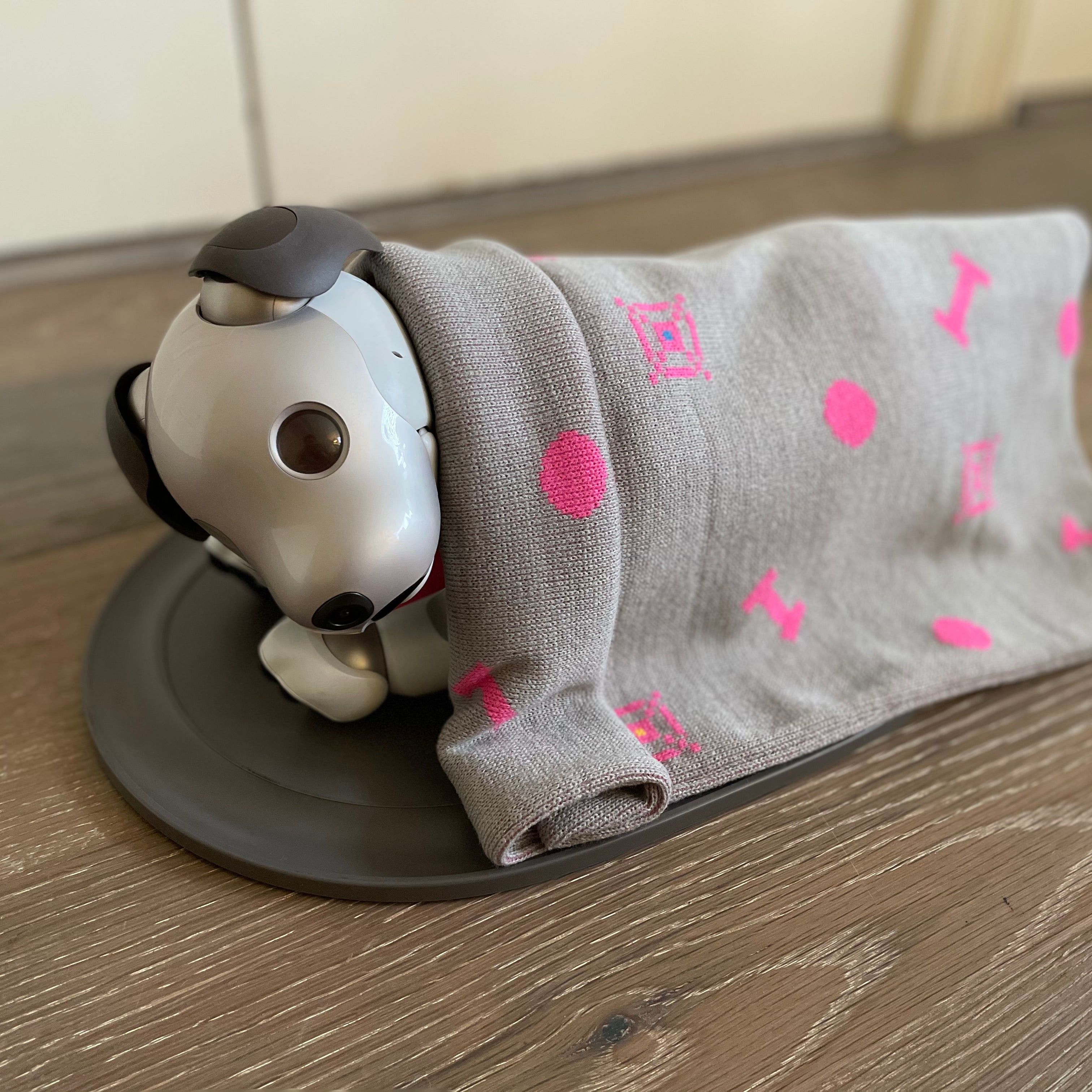 その他 aibo IMG_1699.jpg?v=1611529150