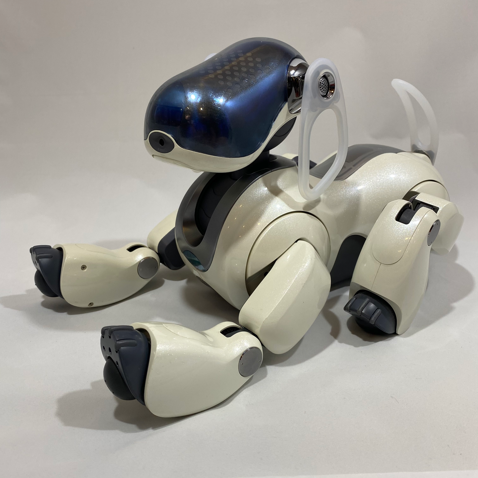 SONY aibo 本体 付属品付き SONY aibo 本体 付属品付きΩ SONY aibo 本体 付属品付き SONY aibo 本体 付属品付きΩ