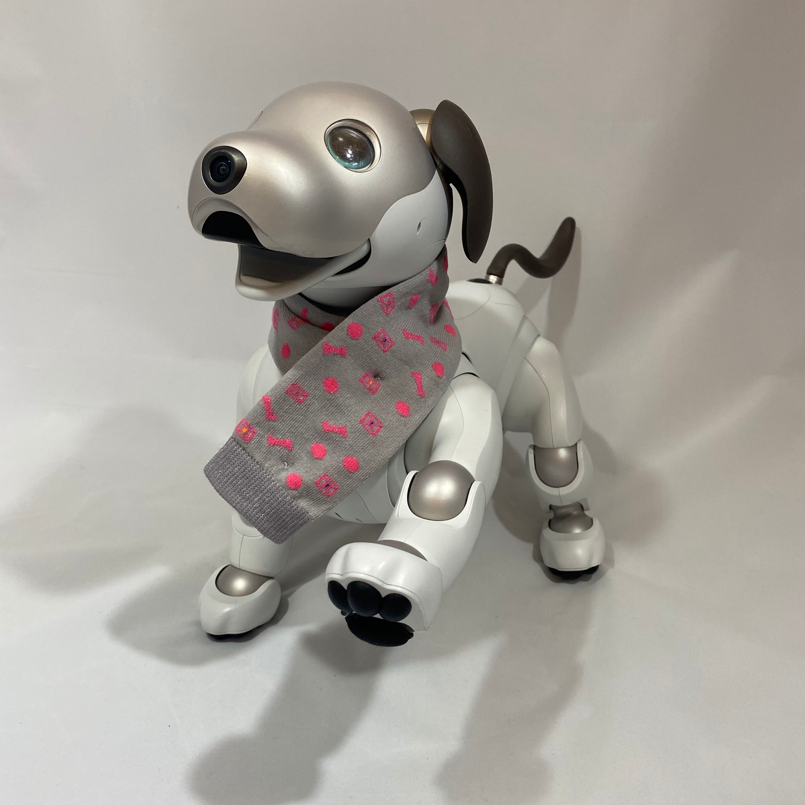 IMG_2157_1600x.png?v=1602464777