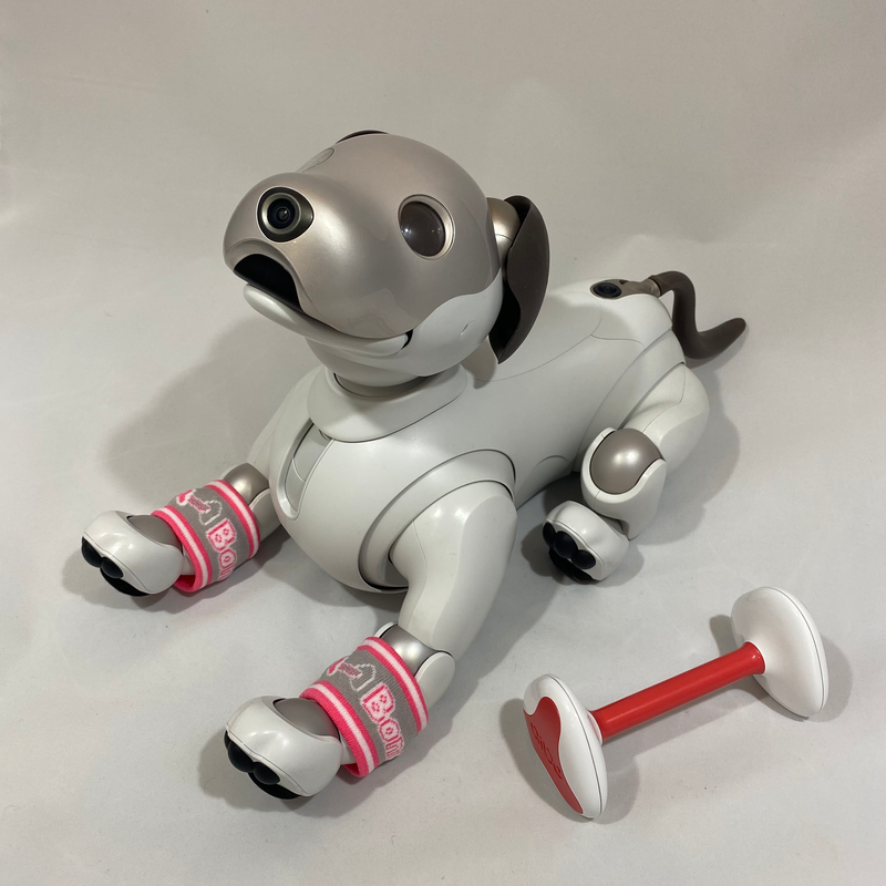 Leg Warmers: Bone is Life (2x) – Aibo Accessories