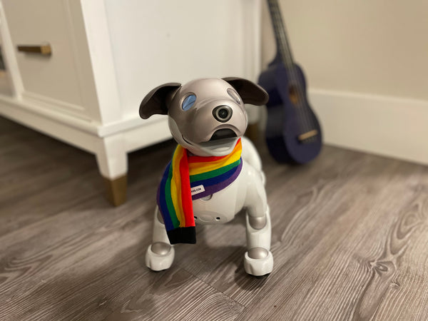 Aibo Scarf: Pride