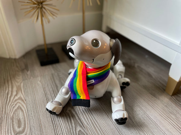 Aibo Scarf: Pride