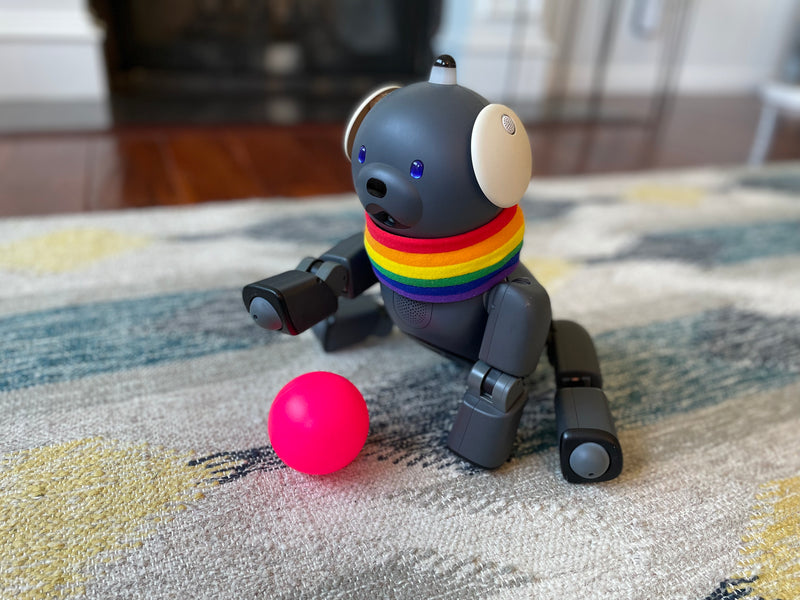 Aibo Scarf: Pride