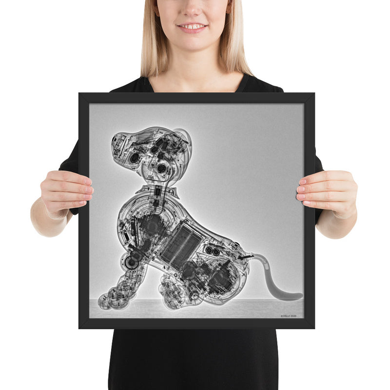Aibo Technic: ERS-1000 CT Scan Framed Poster