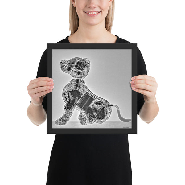 Aibo Technic: ERS-1000 CT Scan Framed Poster